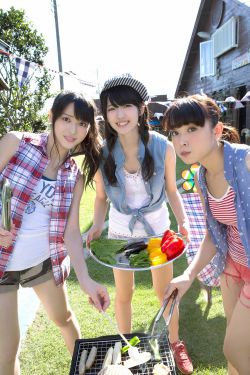 《金花瓶楷梅花2》